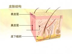 100塊和1000塊的面霜，涂在臉上效果真的會差10倍